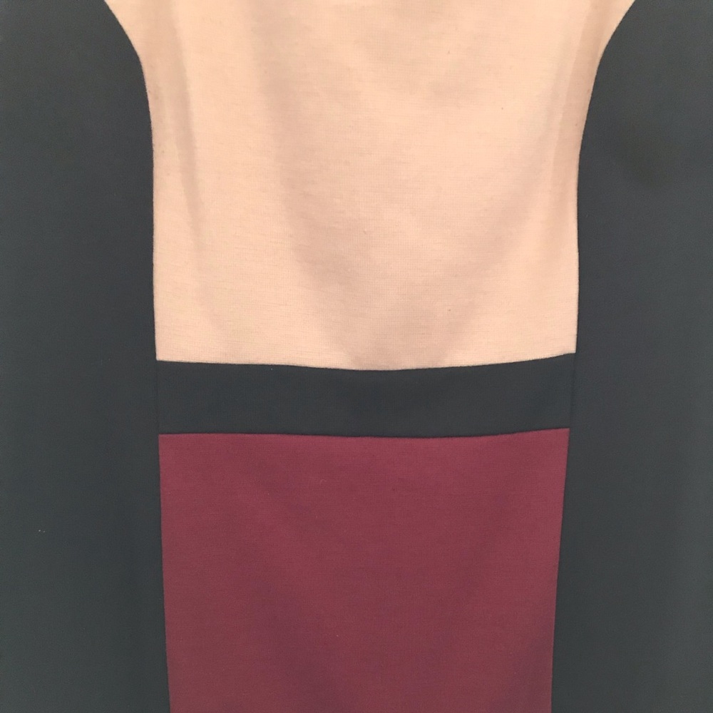 💃 Chic Colorblock Sheath Dress - Picture 4 of 8